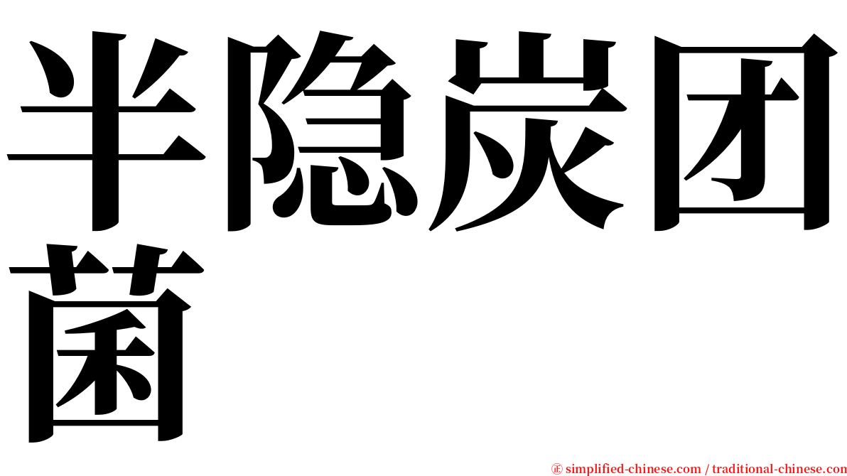 半隐炭团菌 serif font