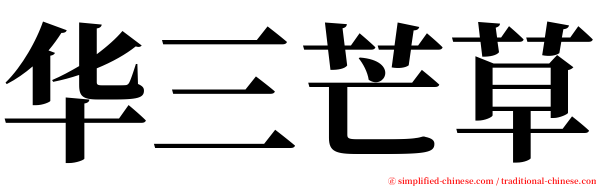 华三芒草 serif font