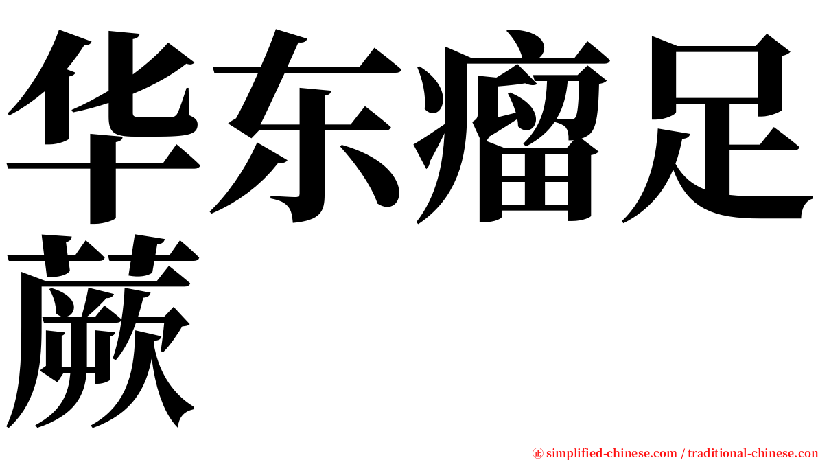 华东瘤足蕨 serif font