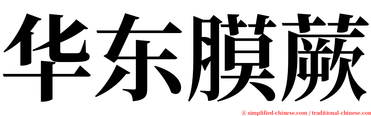 华东膜蕨 serif font