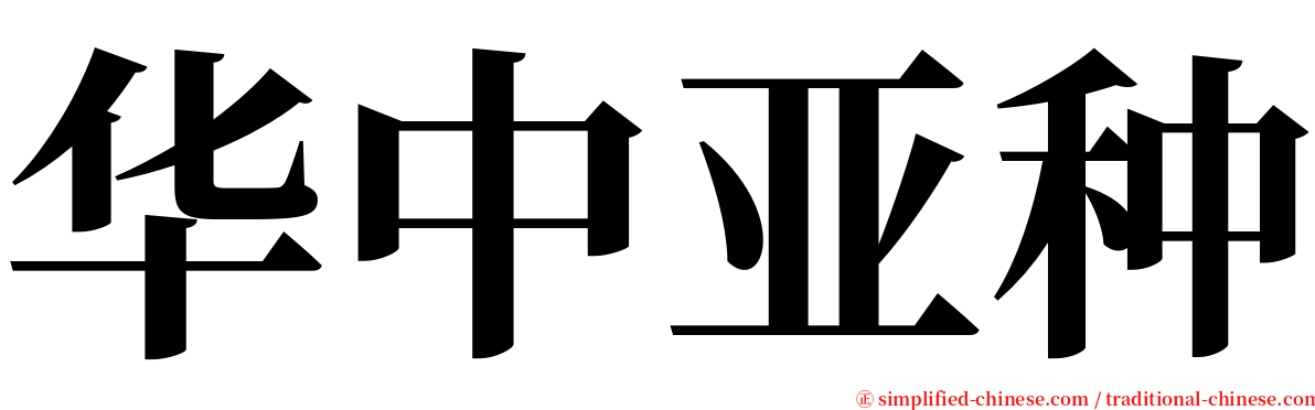 华中亚种 serif font