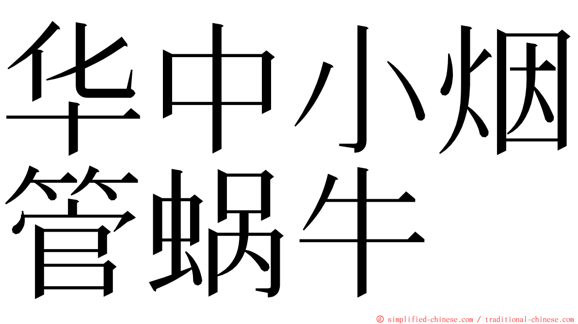 华中小烟管蜗牛 ming font