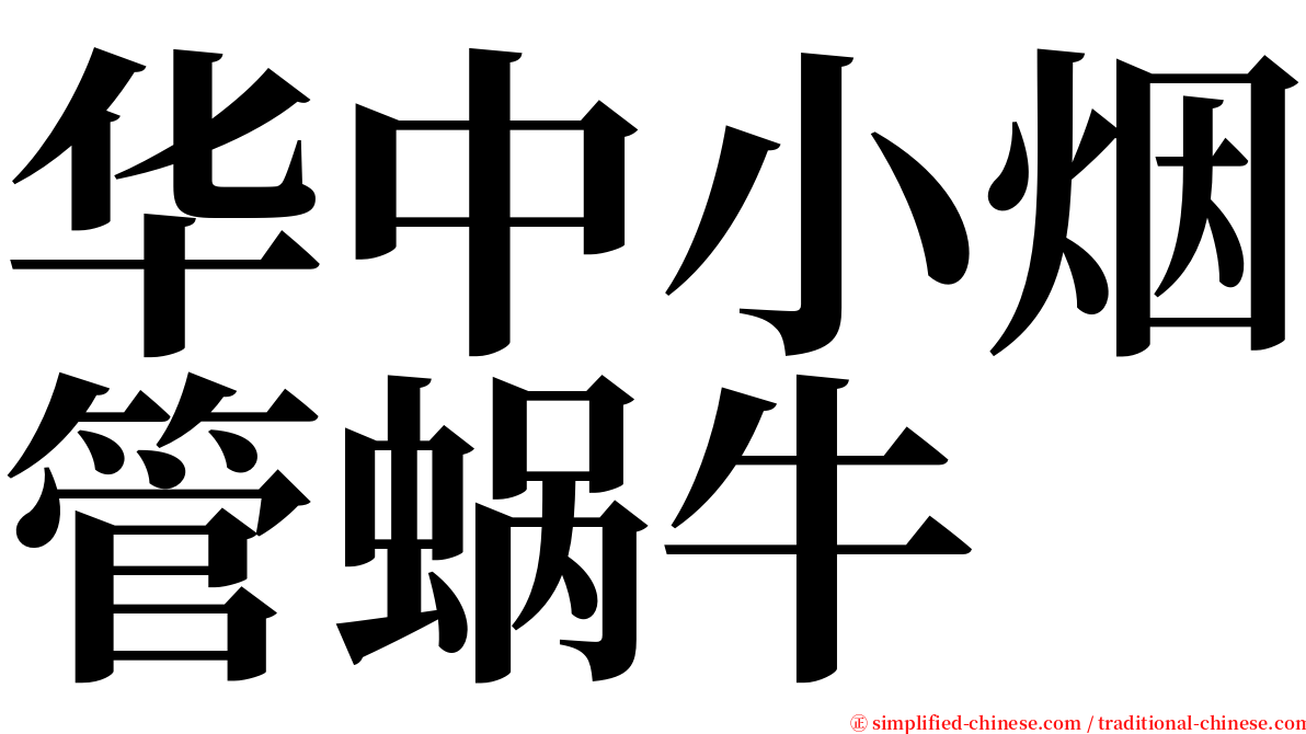 华中小烟管蜗牛 serif font