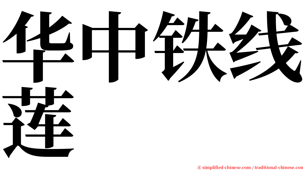 华中铁线莲 serif font