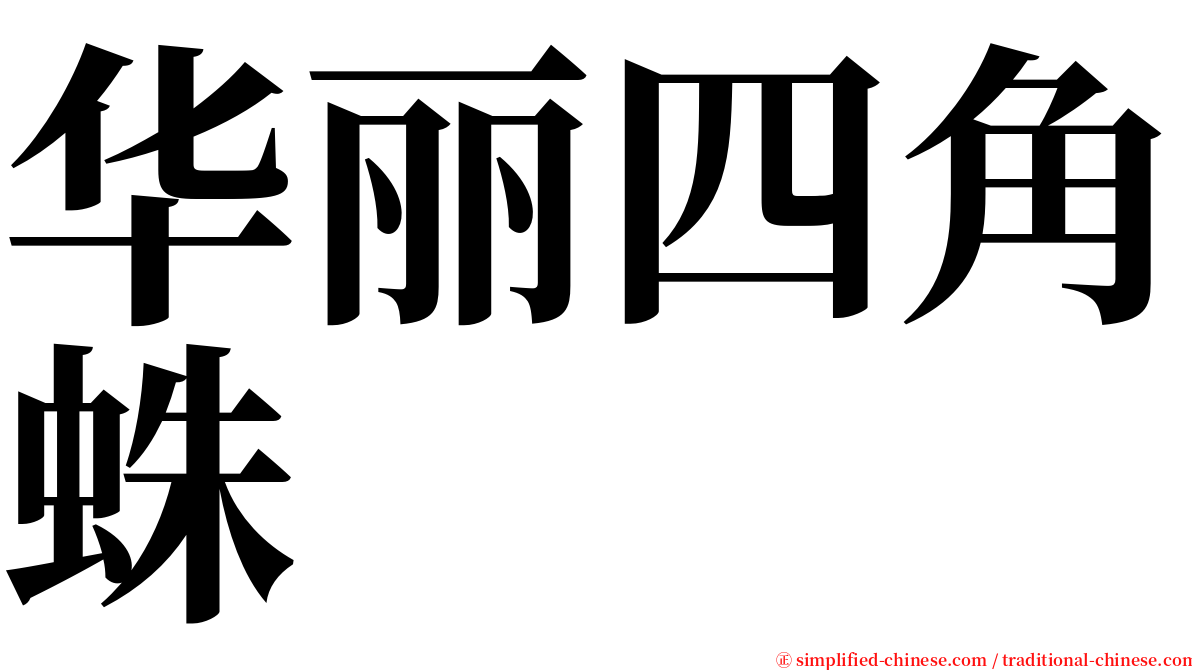 华丽四角蛛 serif font