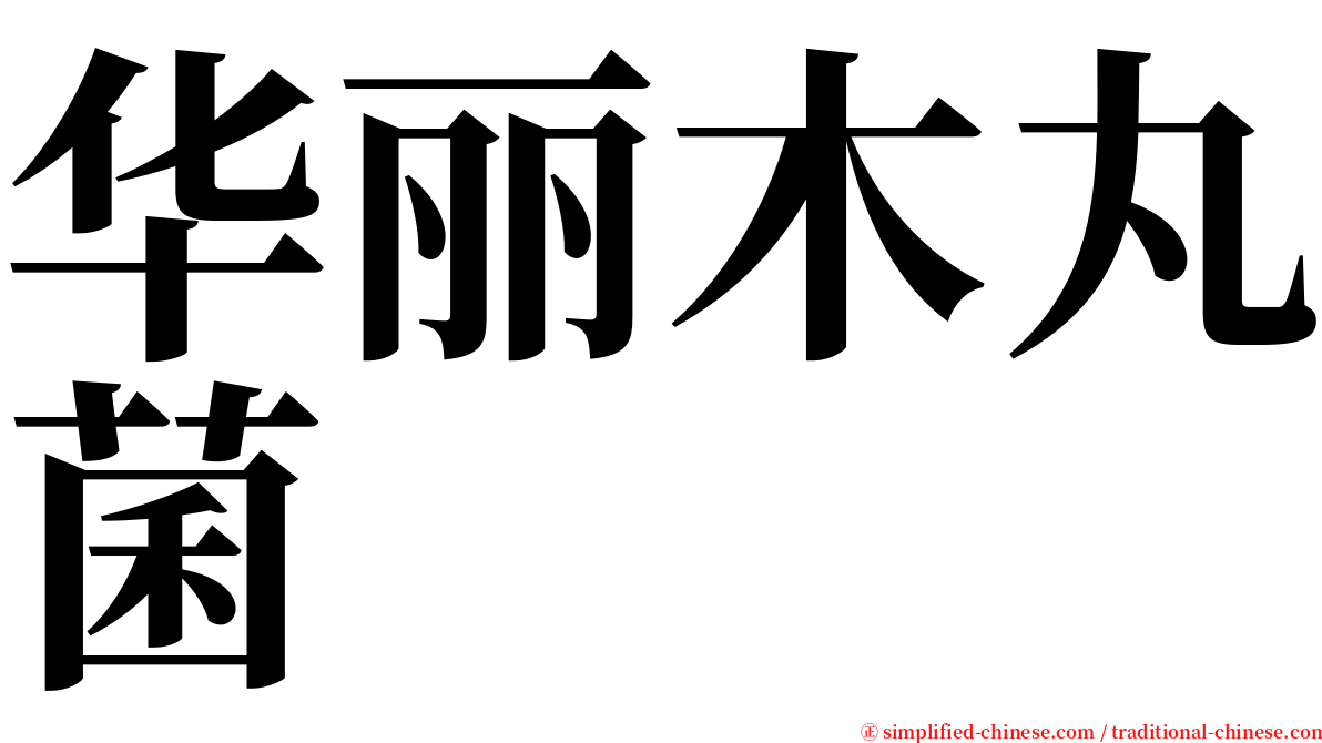 华丽木丸菌 serif font