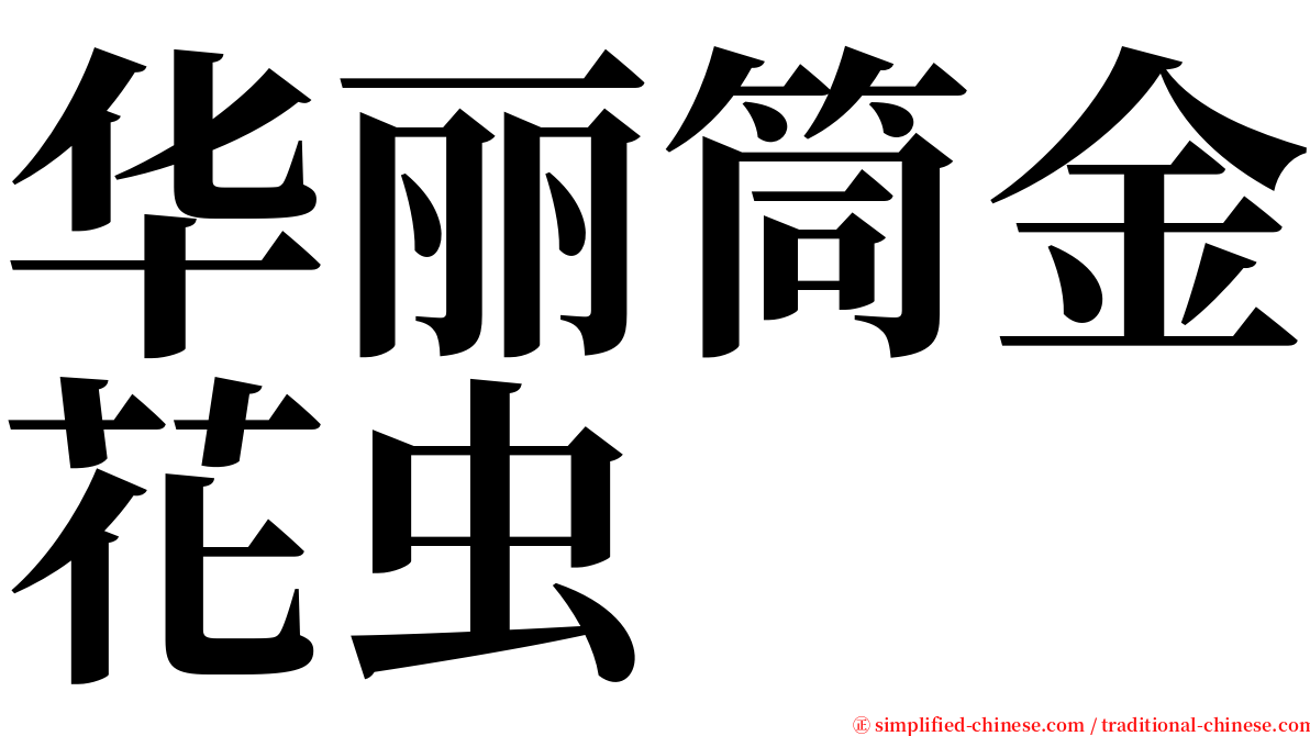 华丽筒金花虫 serif font