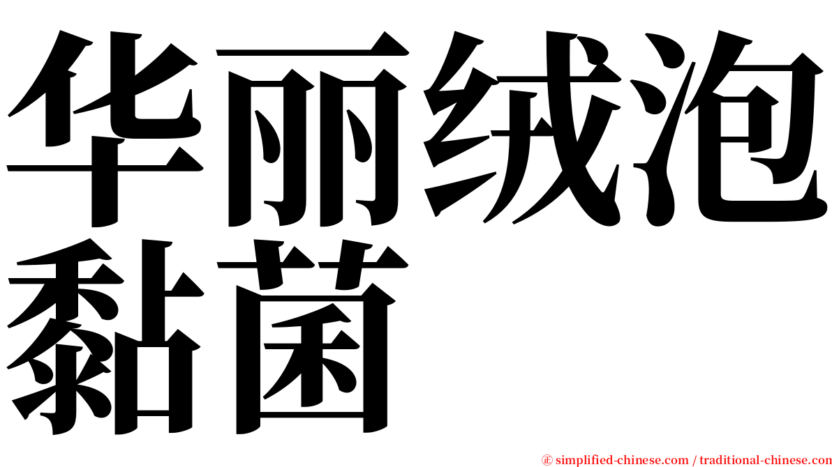 华丽绒泡黏菌 serif font