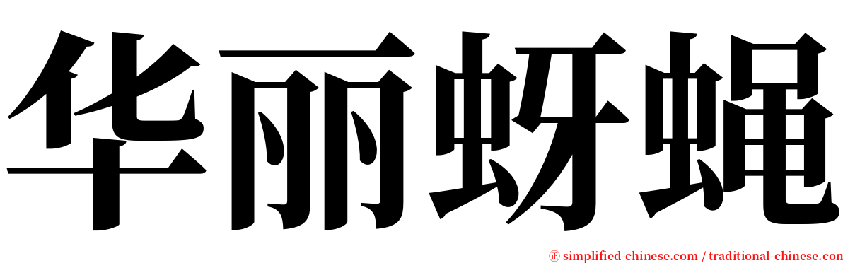 华丽蚜蝇 serif font