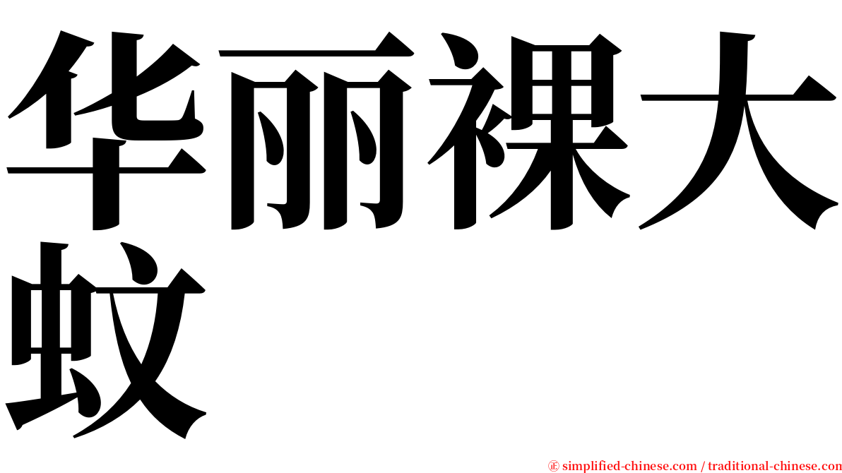 华丽裸大蚊 serif font