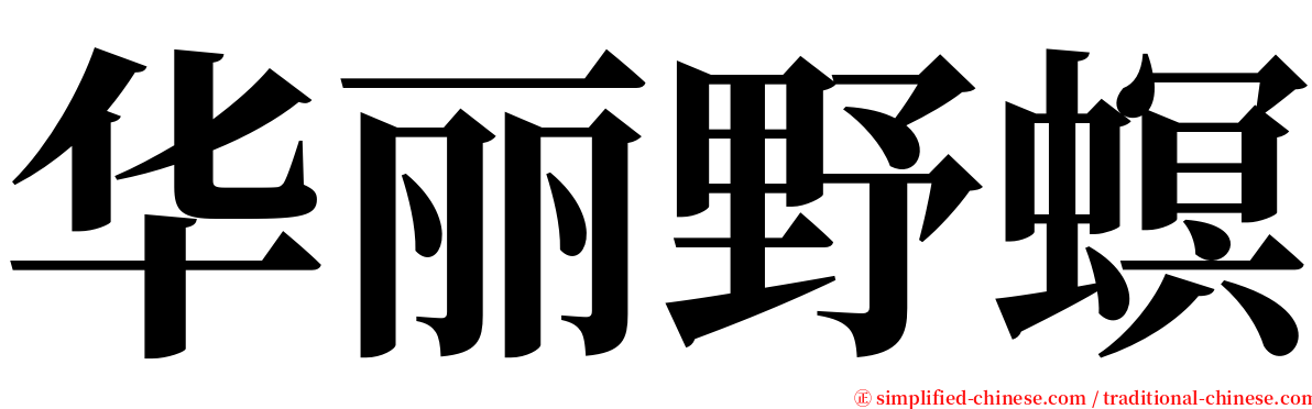 华丽野螟 serif font