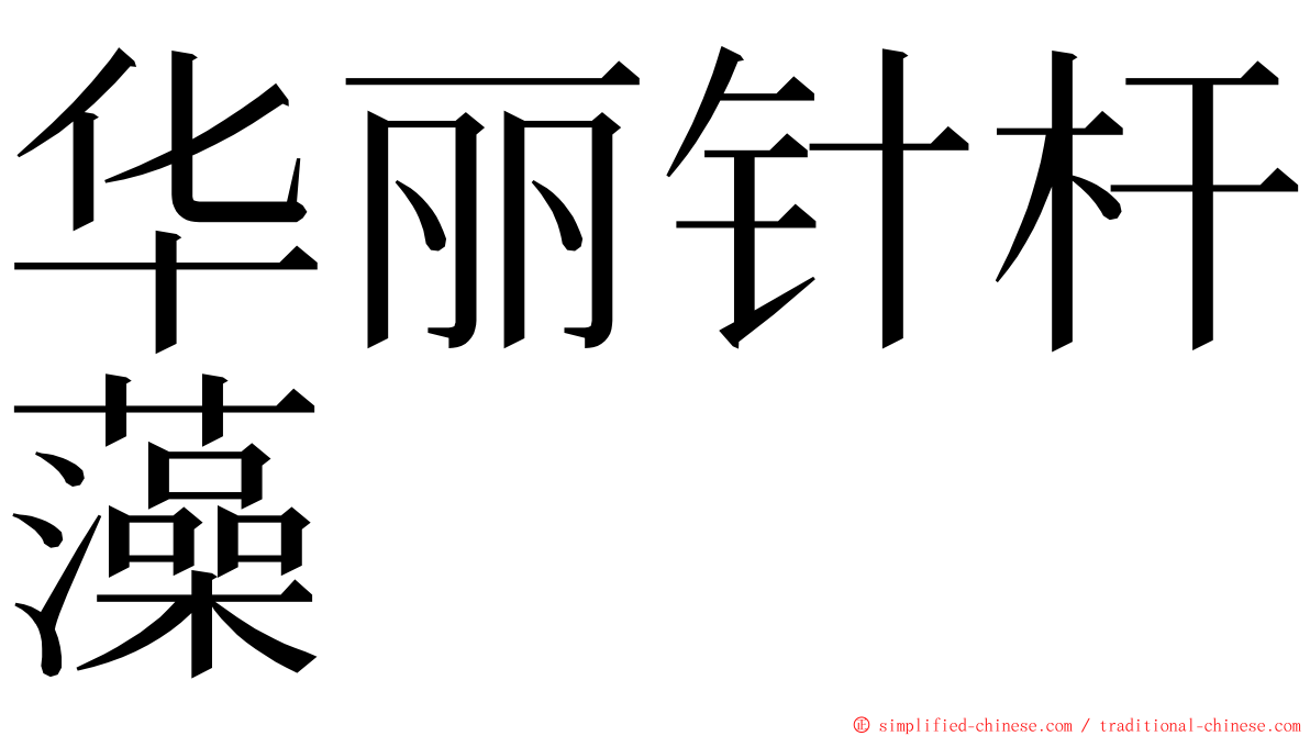 华丽针杆藻 ming font