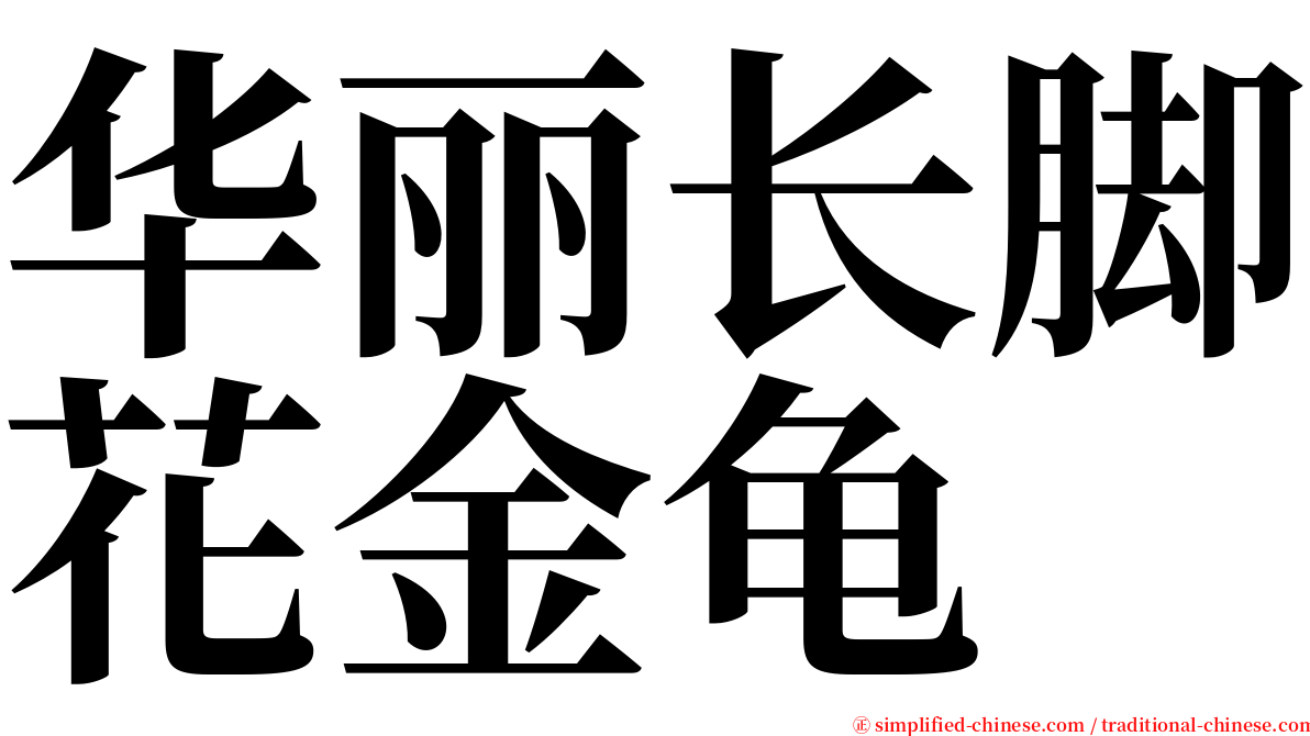 华丽长脚花金龟 serif font