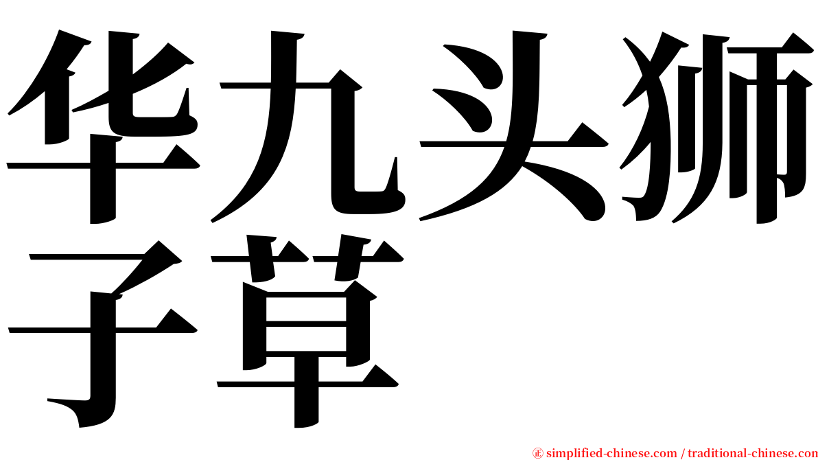 华九头狮子草 serif font