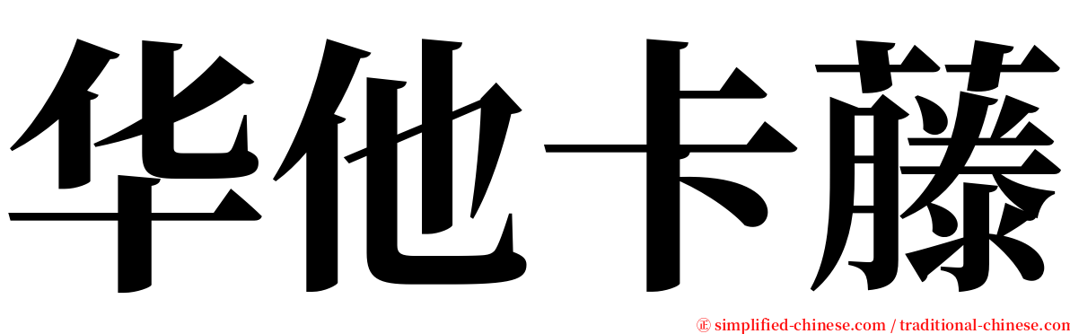 华他卡藤 serif font