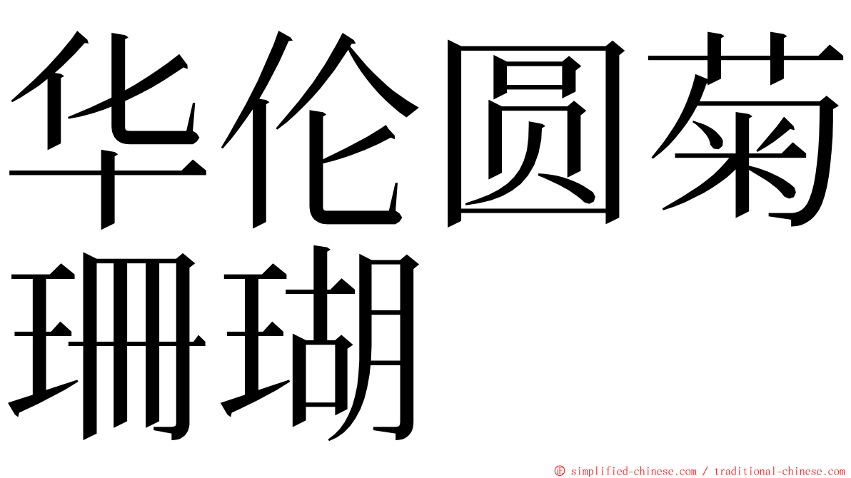 华伦圆菊珊瑚 ming font