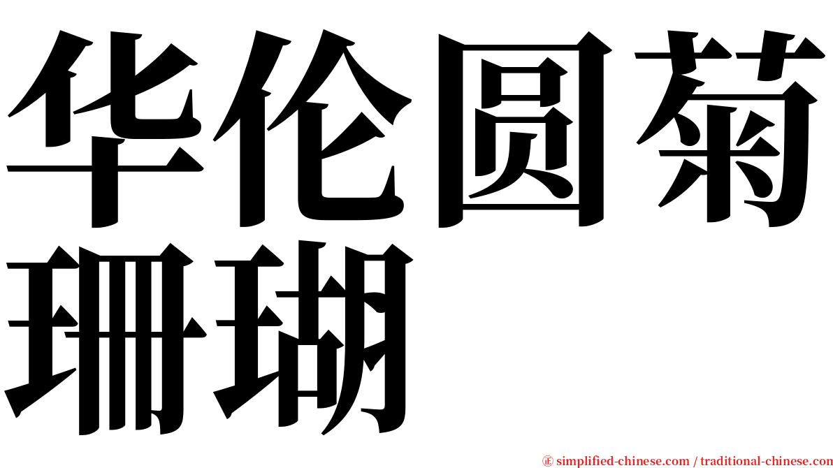 华伦圆菊珊瑚 serif font