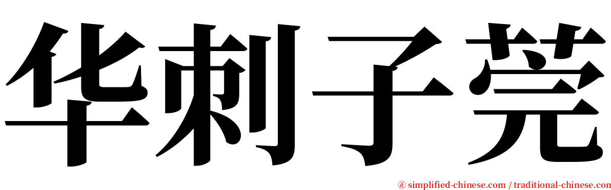 华刺子莞 serif font