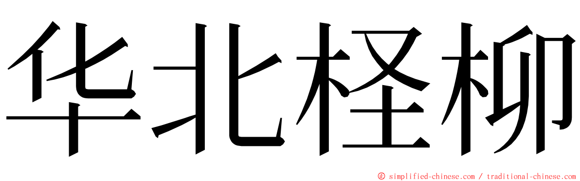 华北柽柳 ming font