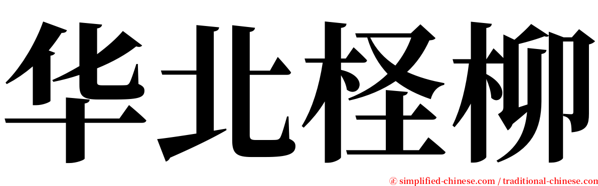 华北柽柳 serif font