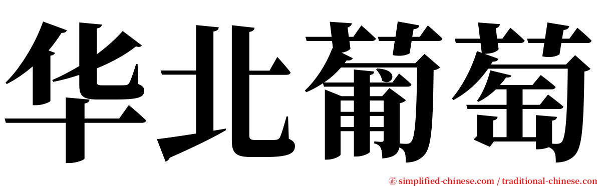 华北葡萄 serif font