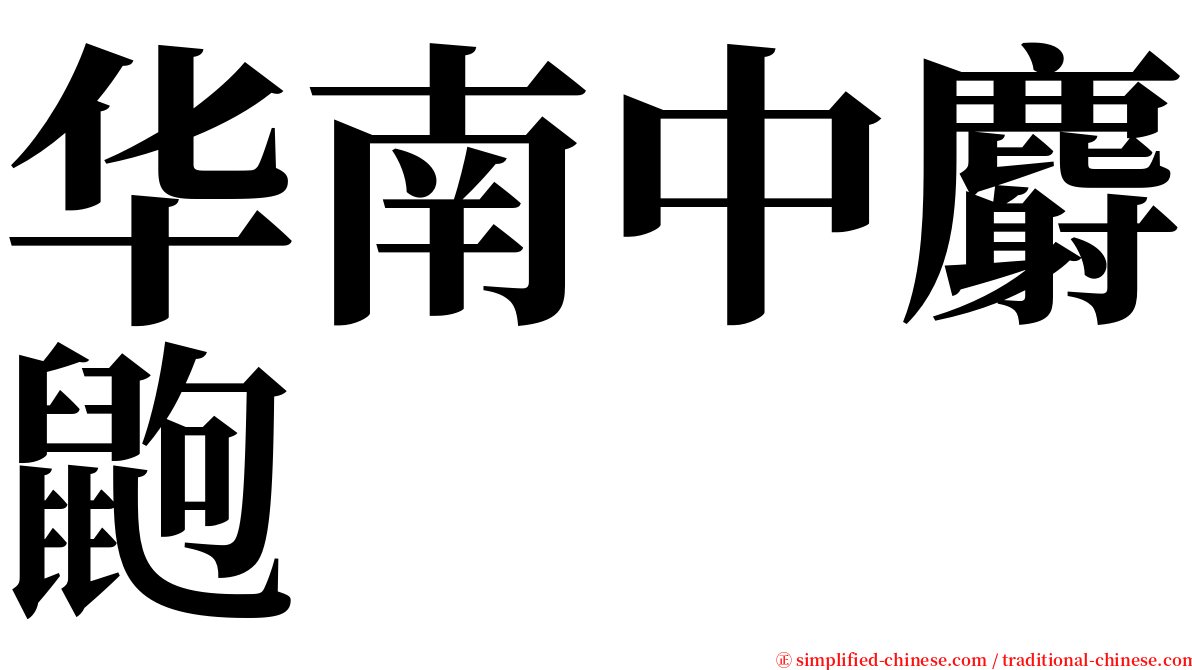 华南中麝鼩 serif font