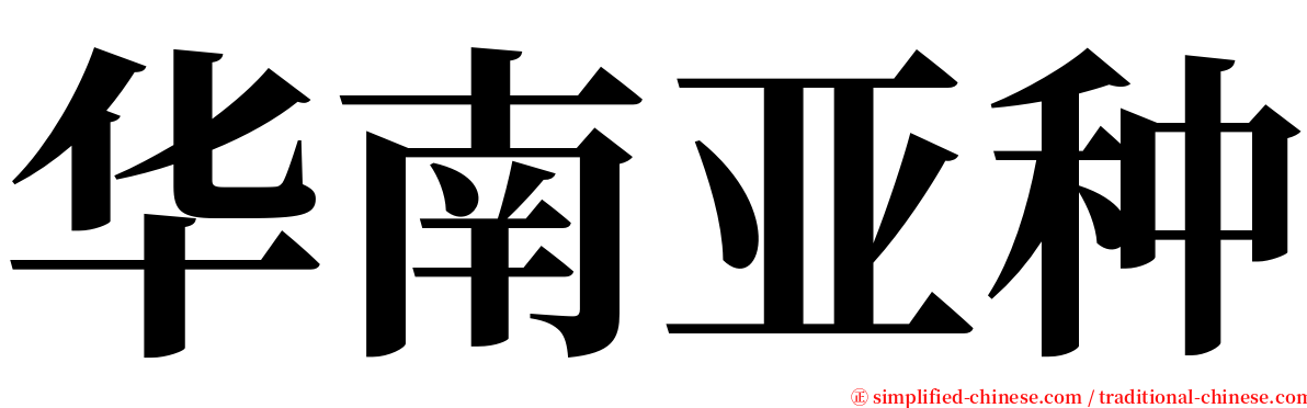 华南亚种 serif font