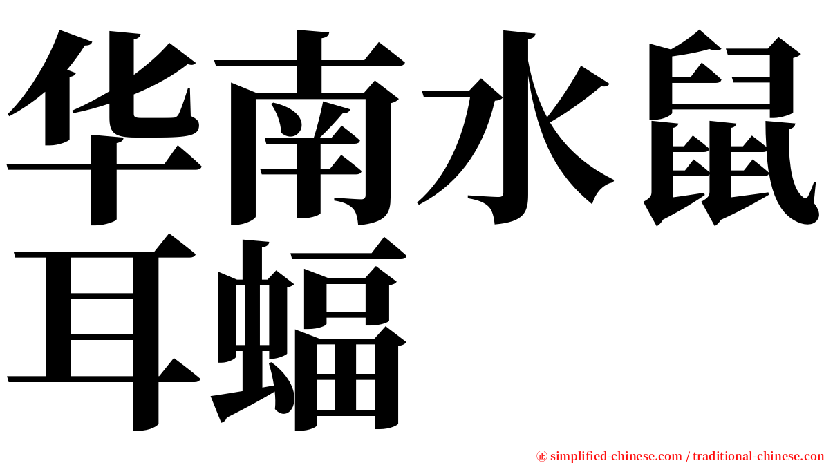 华南水鼠耳蝠 serif font