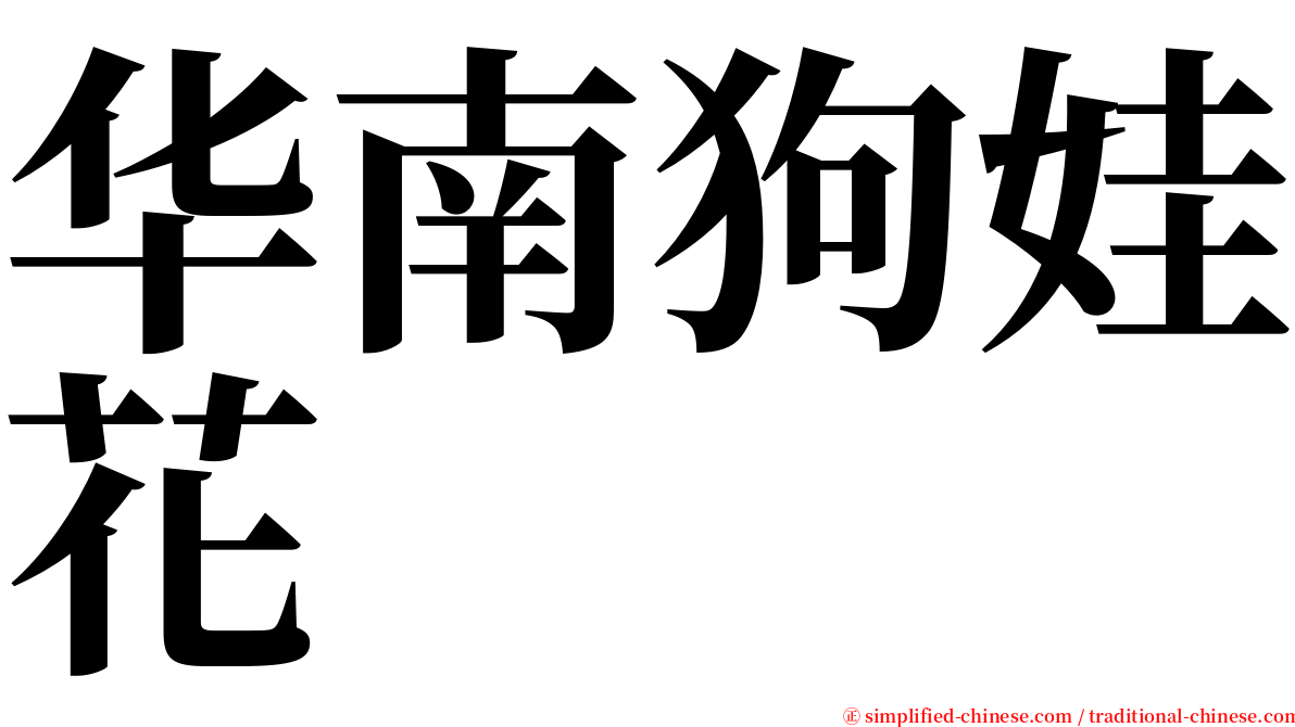 华南狗娃花 serif font