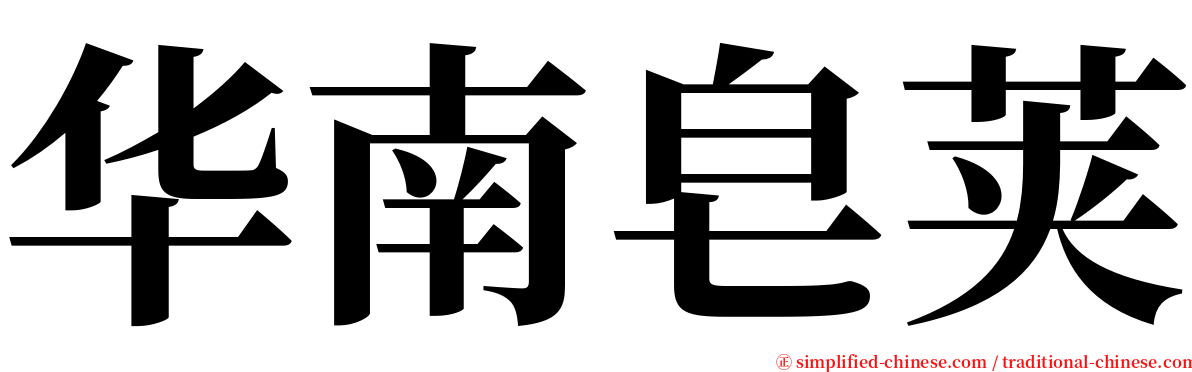 华南皂荚 serif font