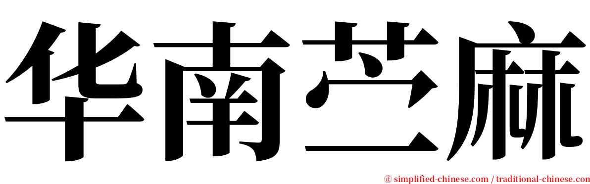 华南苎麻 serif font