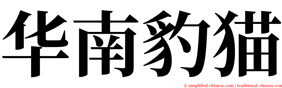华南豹猫 serif font