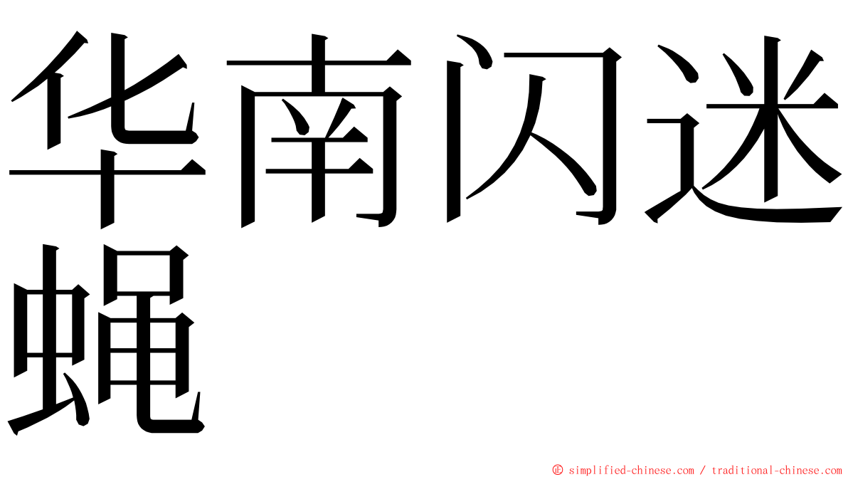 华南闪迷蝇 ming font