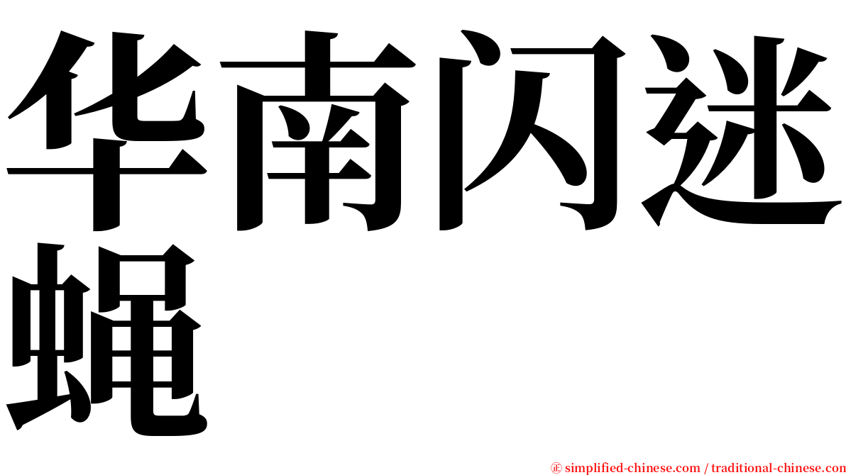 华南闪迷蝇 serif font