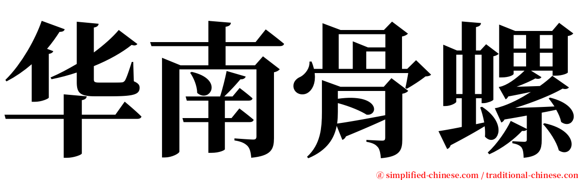 华南骨螺 serif font