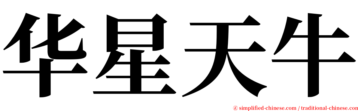 华星天牛 serif font