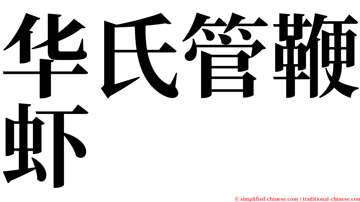 华氏管鞭虾 serif font