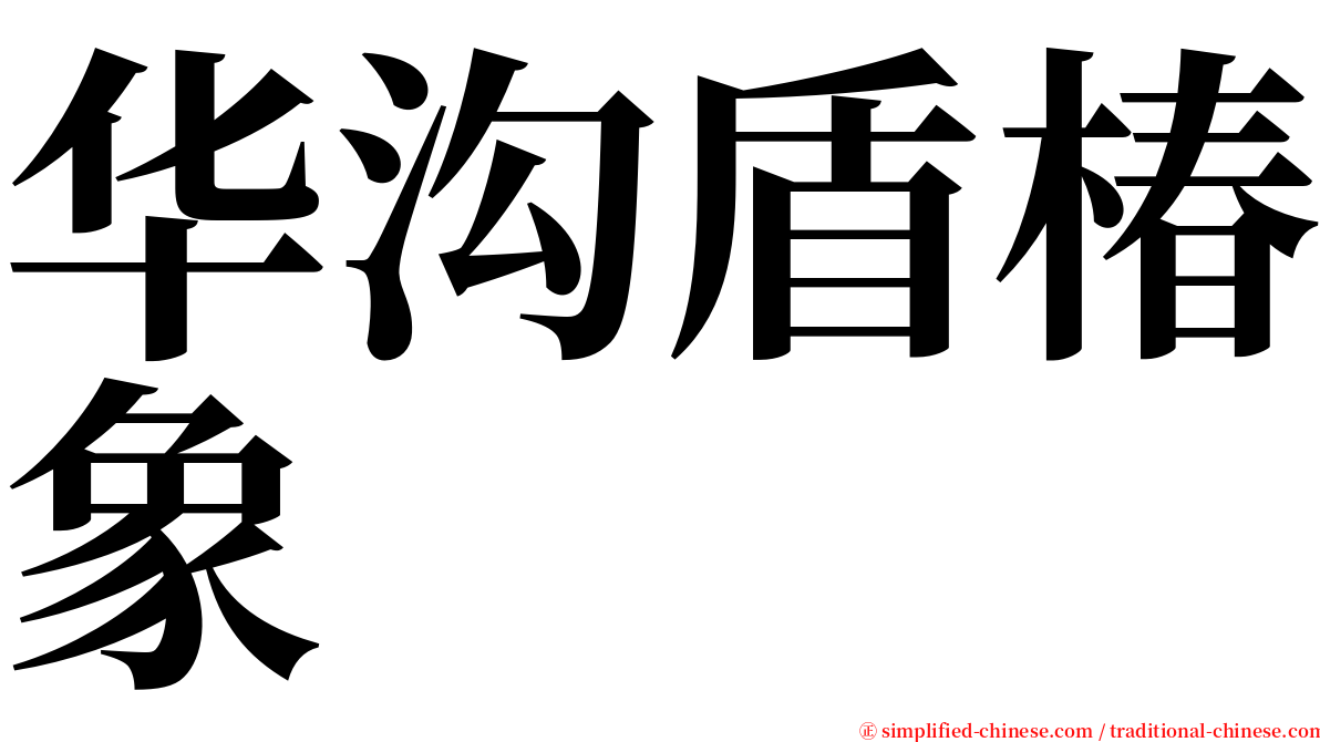 华沟盾椿象 serif font