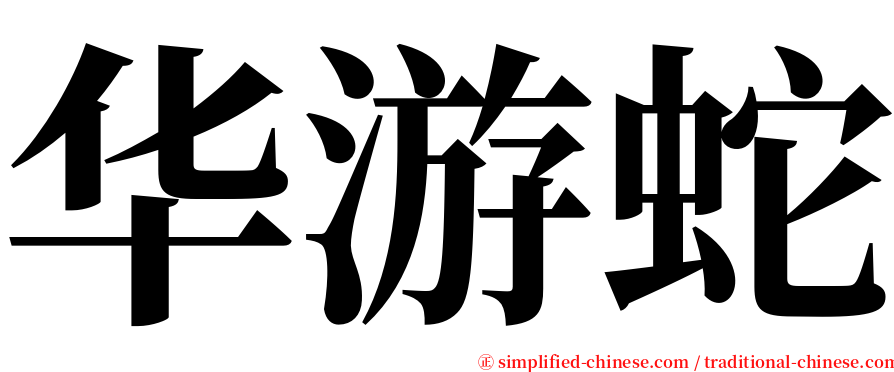 华游蛇 serif font