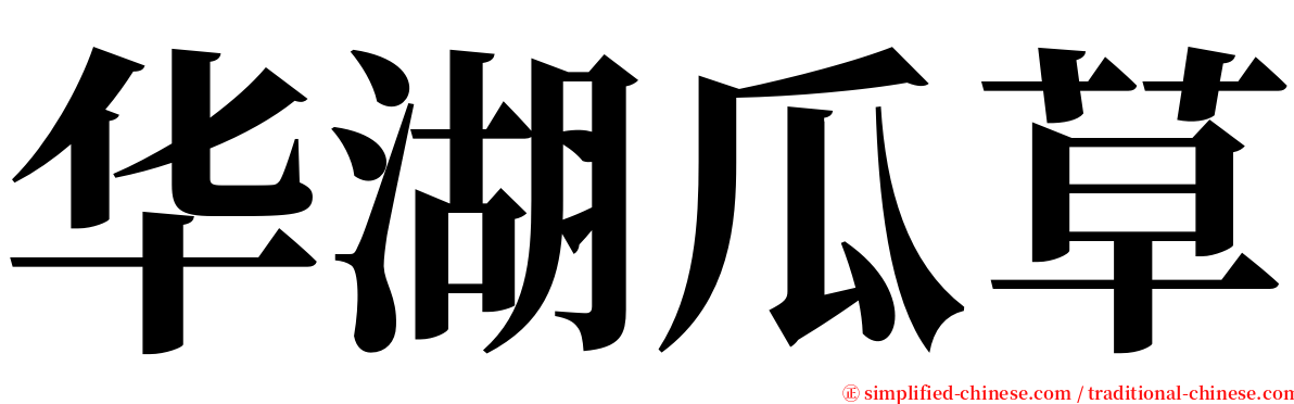 华湖瓜草 serif font