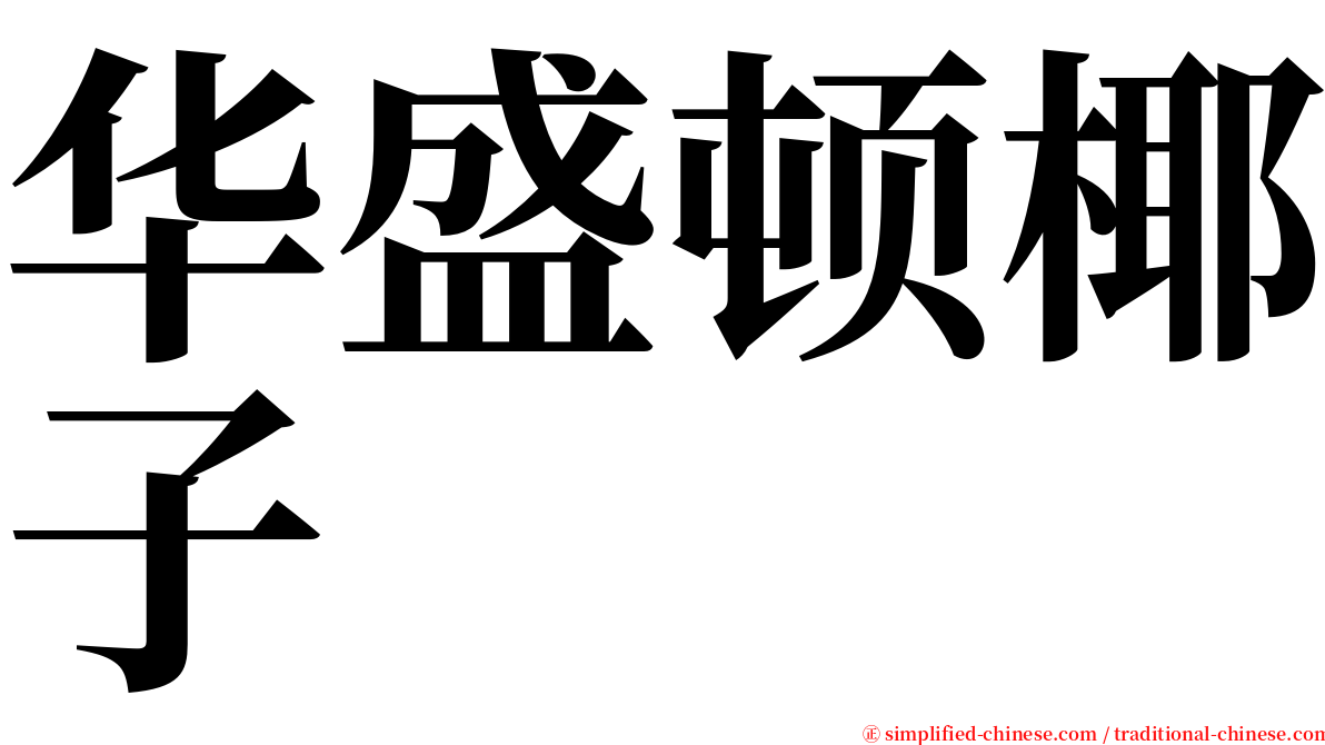 华盛顿椰子 serif font