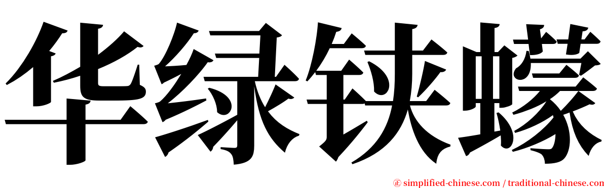 华绿铗蠓 serif font