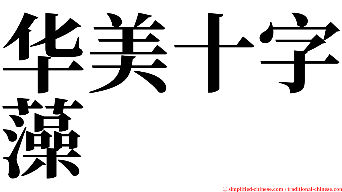 华美十字藻 serif font