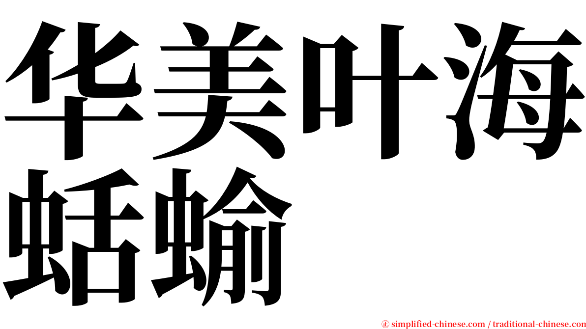 华美叶海蛞蝓 serif font