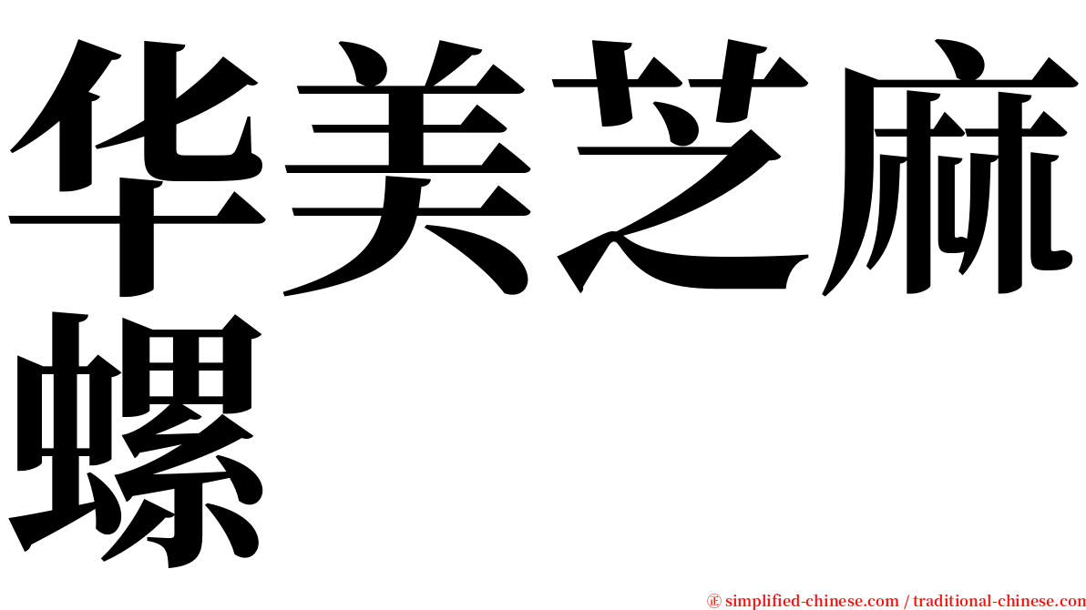 华美芝麻螺 serif font