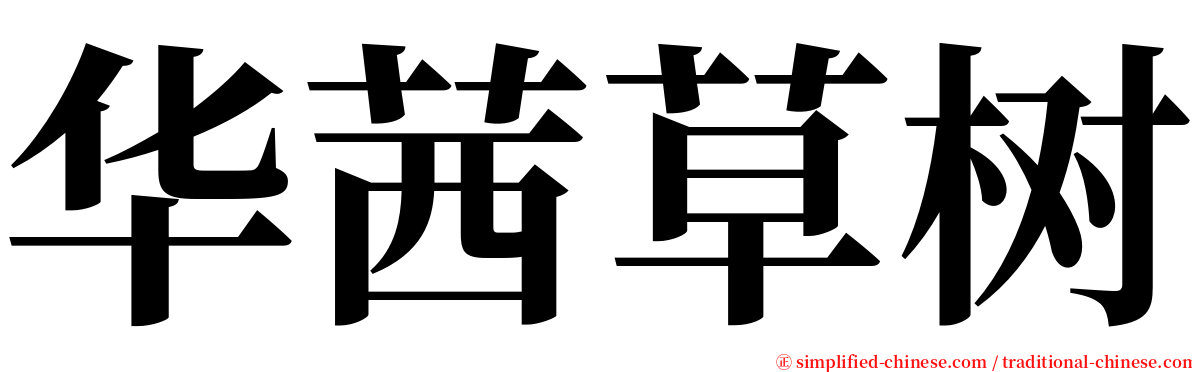 华茜草树 serif font