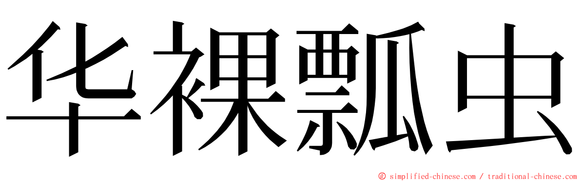 华裸瓢虫 ming font