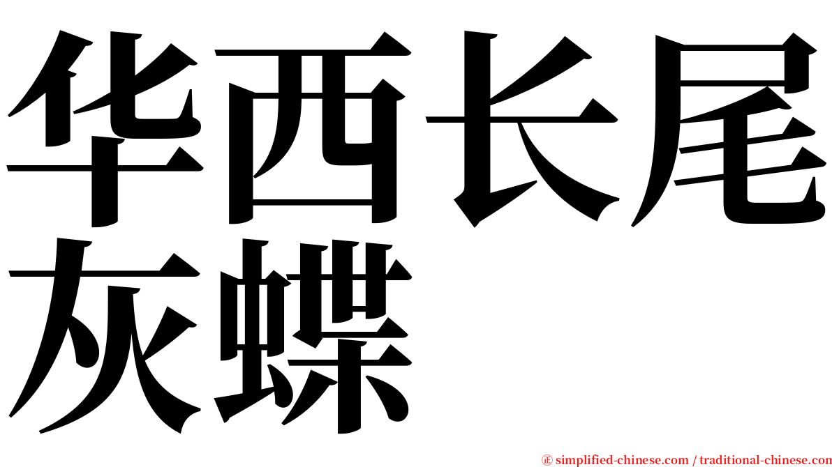 华西长尾灰蝶 serif font