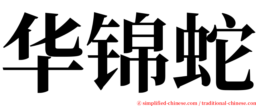 华锦蛇 serif font