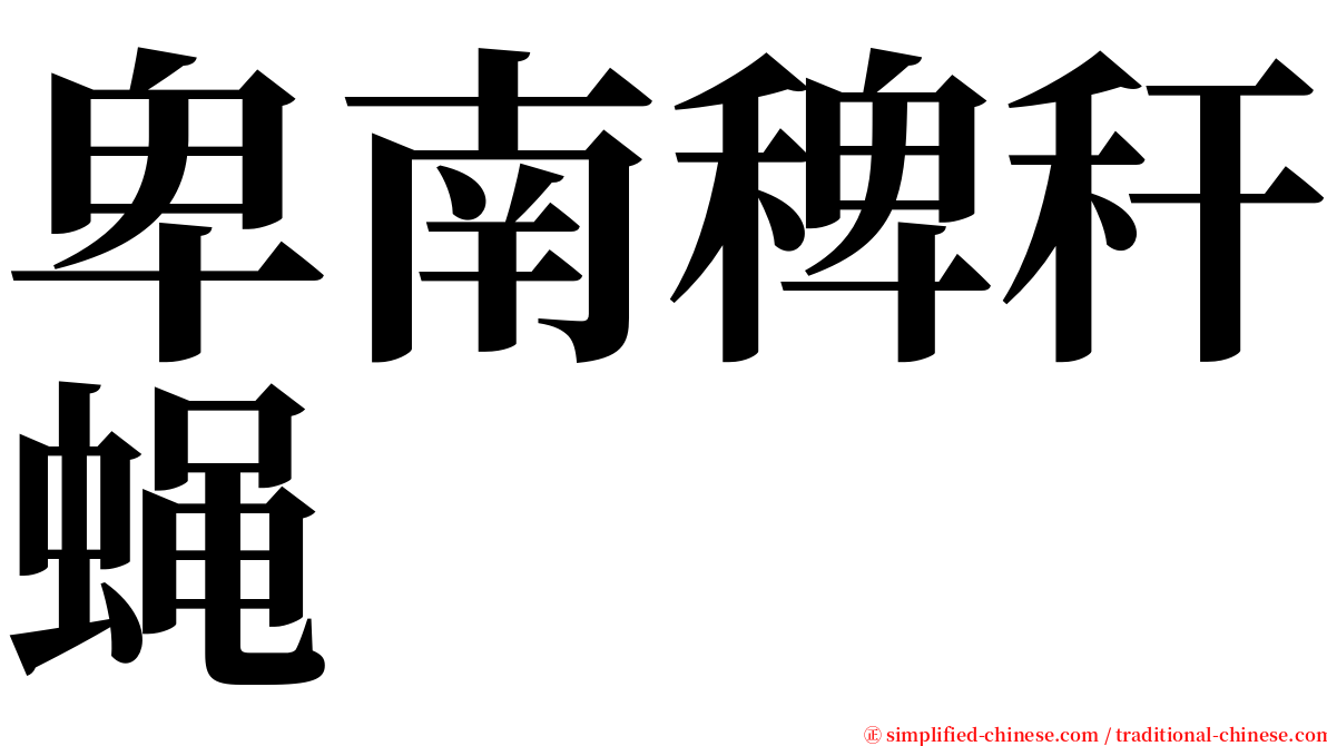 卑南稗秆蝇 serif font